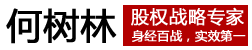 何树林组织激励系统,东莞股权激励设计咨询,企业股权架构设计,东莞股权设计,东莞股权顶层设计,东莞股权顶层设计咨询,东莞股权激励咨询公司,股权设计咨询,股权公司