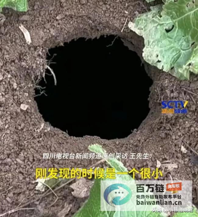 无底洞引发网友热议 挖开后深不见底 菜地突现碗口大洞 (无底洞被砍)